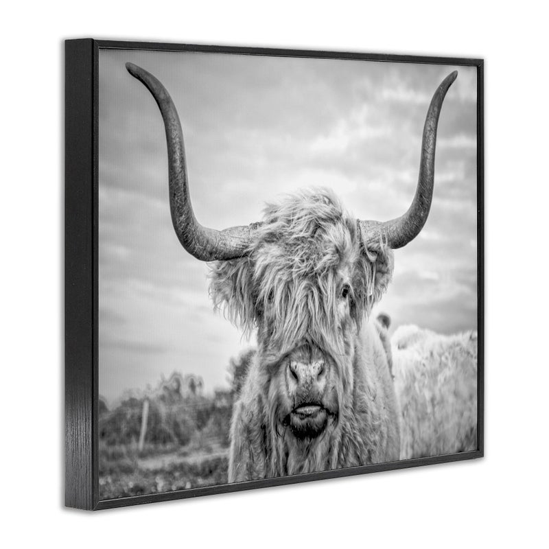 Stupell Industries Black and White Highland Cow Photograph Framed Giclee Art Design By Artist Joe Reynolds - Image 3